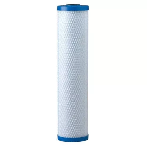 Pentair EP-20BB Carbon Filter Cartridge (155583-43)